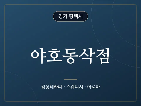 야호동삭점 · 경기 평택시