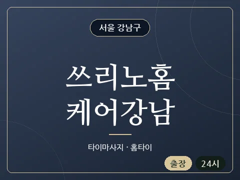 쓰리노홈케어강남 · 서울 강남구
