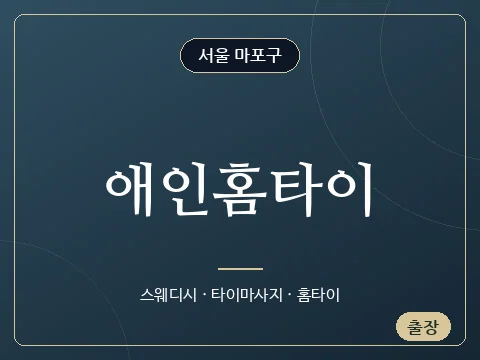 애인홈타이 · 서울 마포구