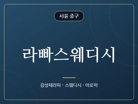라빠스웨디시 · 서울 중구