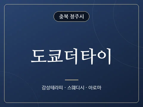 도쿄더타이 · 충북 청주시