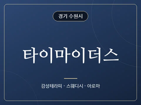 타이마이더스 · 경기 수원시