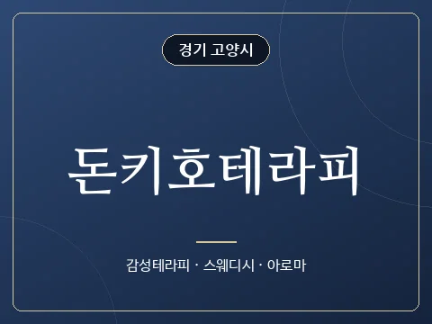 돈키호테라피 · 경기 고양시